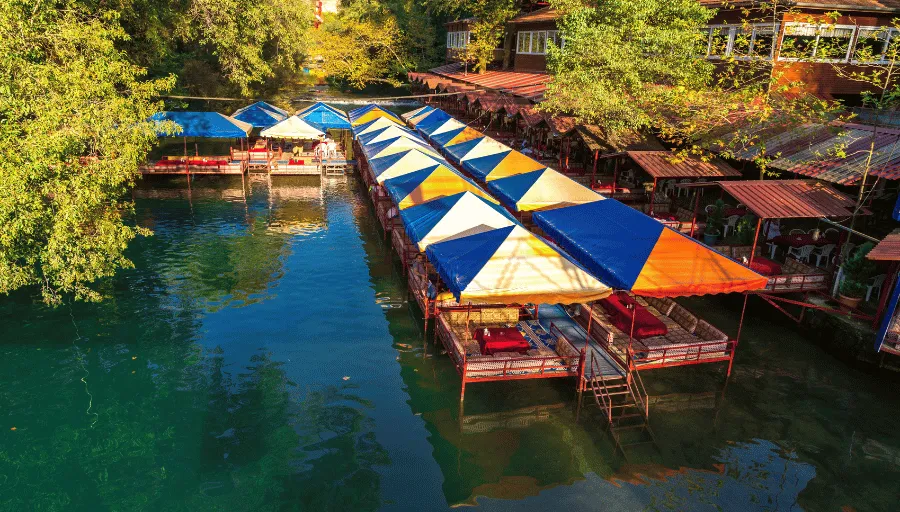 Nature Safari photo 4